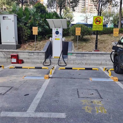 Community Smart Parking Slap Lock